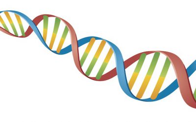 FECRIS et organisations affiliées : diffamer est dans leur ADN